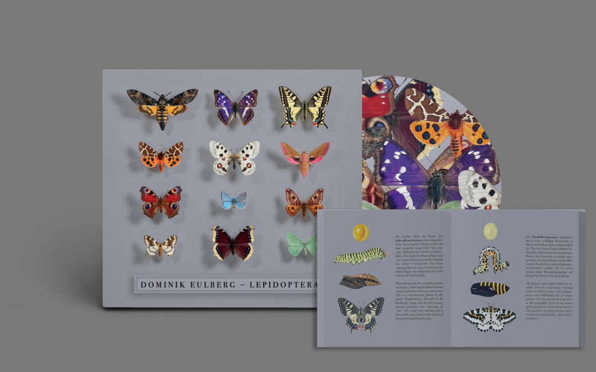 Dominik Eulberg - Lepidoptera