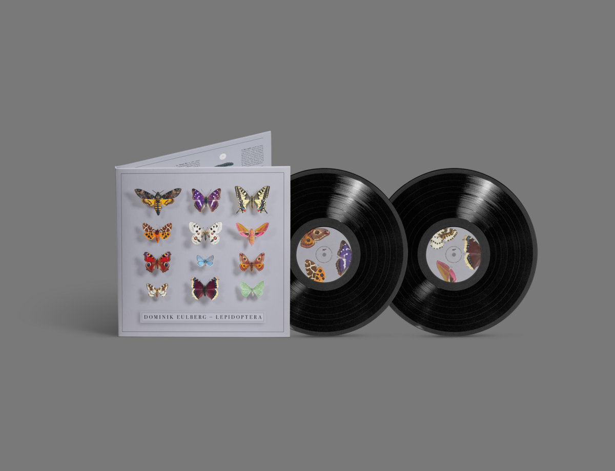 Dominik Eulberg - Lepidoptera